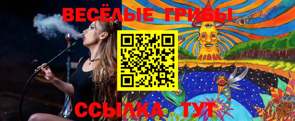 Псилоцибиновые грибы Psilocybe Ивантеевка