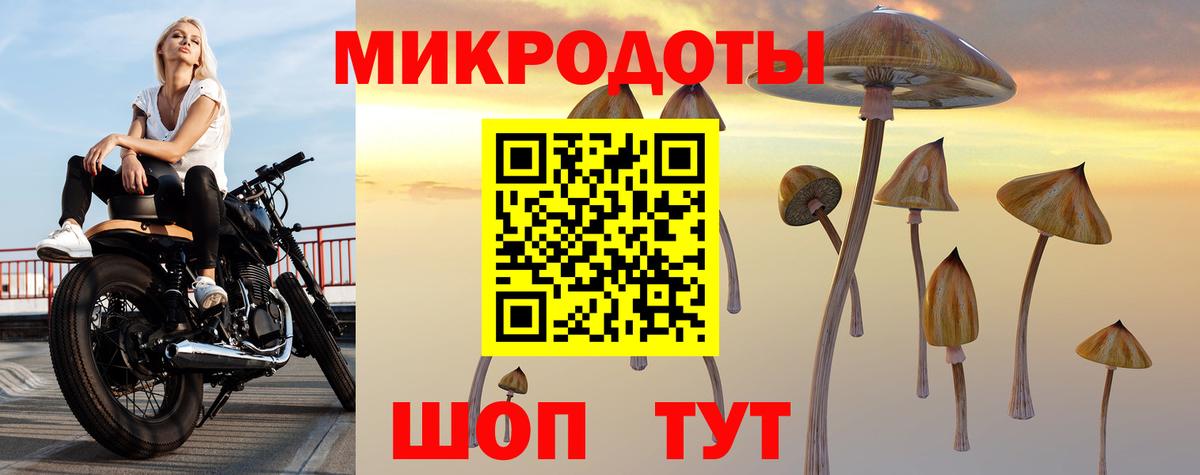 Ивантеевка  Псилоцибиновые грибы мицелий  Вход с VPN 